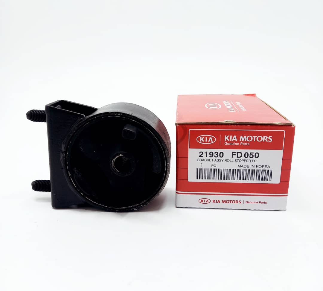 دسته موتور ریو